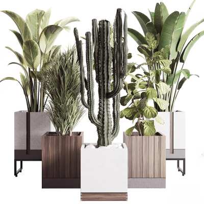 现代盆栽组合3D模型下载